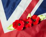 Union Flag and poppies
