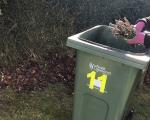 plant cuttings being placed in a green garden waste wheelie bin