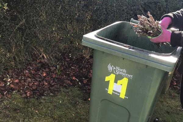 plant cuttings being placed in a green garden waste wheelie bin